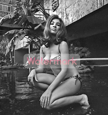#ad Young ANNE ARCHER in a Tiny Bikini ** HI RES Fine Art Archival Print 8.5quot;x11quot;