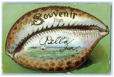 #ad 1910 Souvenir From Seashell Embossed Glitter Pella Iowa Vintage Antique Postcard