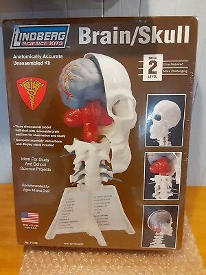 Vintage Linberg Science Kits Brain Skull Skill Level2