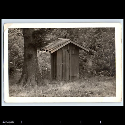 #ad Vintage Photo SHED OUTHOUSE BY TREE