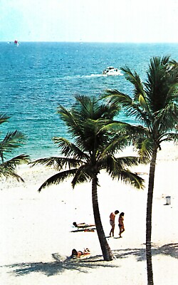 Vintage Enjoying The Weather In Sunny Florida Ocean Palm Tree Postcard