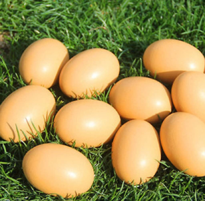 Yunko 6Pcs Wooden Brown Fake Nest Eggs Easter Eggs for Craft Get Hens to Lay Egg