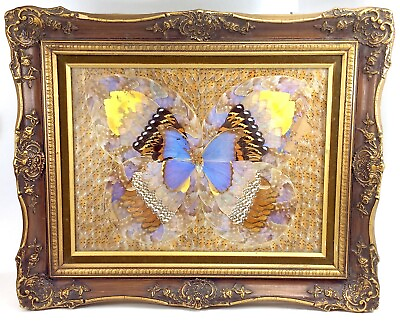 Vintage Real Moth Butterfly Wings Natural Art Taxidermy Kaleidoscope Framed J891