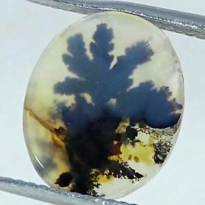 #ad Natural Shazar Dendritic Agate Gemstone 2.40 Cts Loose Oval Cabochon 11X13X1MM