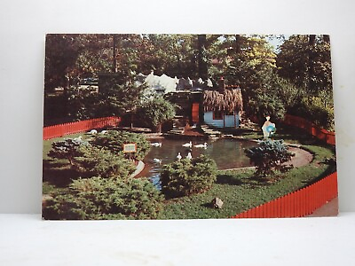 #ad #ad Merry Miller Childrens Zoo Belle Island Detroit Michigan Chrome Postcard C186