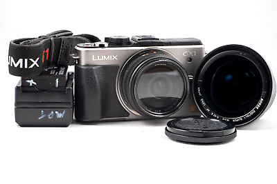 Panasonic LUMIX DMC GX1 Mirrorless Camera Silver with 14mm f2.5 Lens Extras