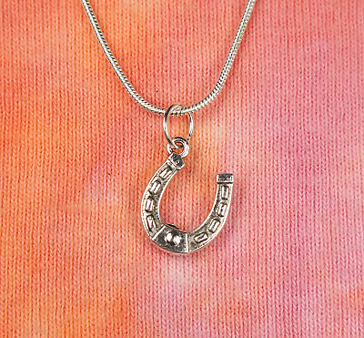 #ad Little Horseshoe Necklace pick 16 36quot; chain Charm Pendant Good Luck Gift