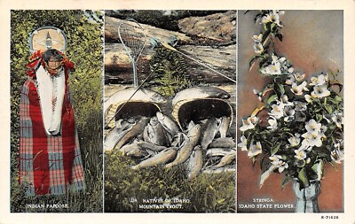 #ad Idaho State Flower Indian Papoose Mountain Trout Natives of