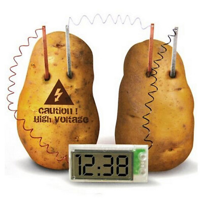 #ad Potato Clock Novel Green Science Project Experiment Kit Kids Lab Home School Toy