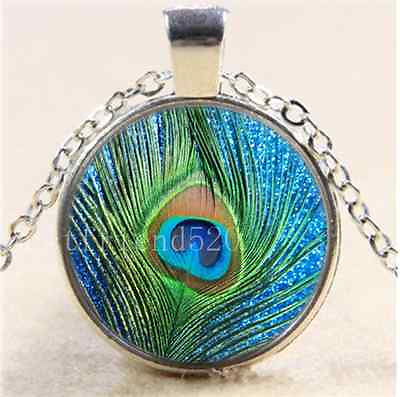 Peacock feathers Photo Cabochon Glass Tibet Silver Chain Pendant Necklace