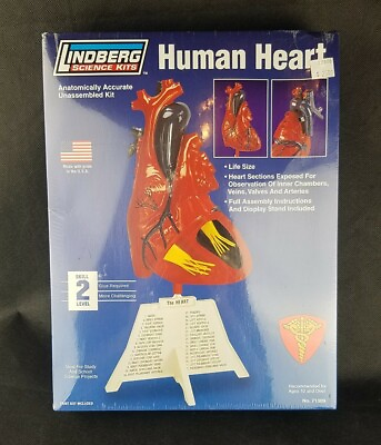 NEW Lindberg Human Heart Anatomically Accurate Correct Plastic Science Model Kit