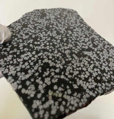 #ad Snowflake Obsidian Slab for cabbing lapidary