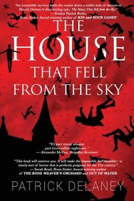 #ad The House that fell from the Sky Paperback By Delaney Patrick VERY GOOD
