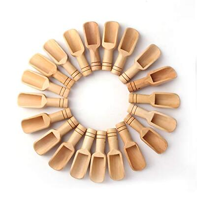 Small Wooden Scoops Little Wooden Spoons for Jars Bath Salts 12Pcs 3 Inches Long