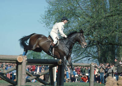 Captain Mark Phillips On His Horse Classic Lines Clears A Jump 1982 Photo