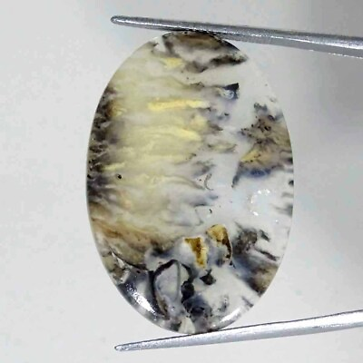 #ad 25.00Cts Tiger Dendritic Agate Cabochon Loose Gemstone Natural Oval 24x35x4mm
