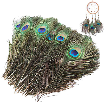 25Pcs Natural Peacock Eye Feathers Natural true peacock feathers 25 30cm decor