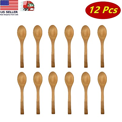 12 Pc 5 inch Natural Bamboo Spoon Small Wooden Spoon Dessert Ice Cream Kids Gift