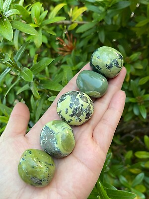 #ad Grade A Serpentine Tumbled Stones 1 1.25 Inch Tumbled Serpentine Stones