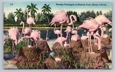 #ad Postcard Florida Miami Nesting Pink Flamingos Hialeah Park Lake Linen C204