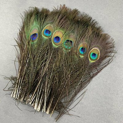 10 100Pcs Natural Peacock Feathers Eyes 25 45CM 10 18Inch DIY Wedding Home Plume