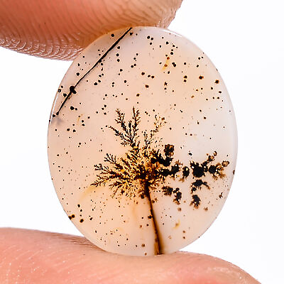 #ad 02.50 Cts. Natural Incredible Scenic Dendritic Agate Oval 14X11X1MM Cab Gemstone