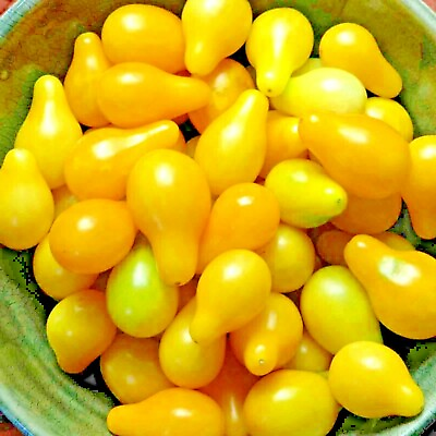 #ad TOMATO YELLOW PEAR CHERRY RARE HEIRLOOM VEGETABLE GARDEN NON GMO 30 SEEDS USA
