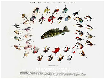 Decorative Poster.Interior wall art design.Decor Art.Bass Fishing Flies.4170