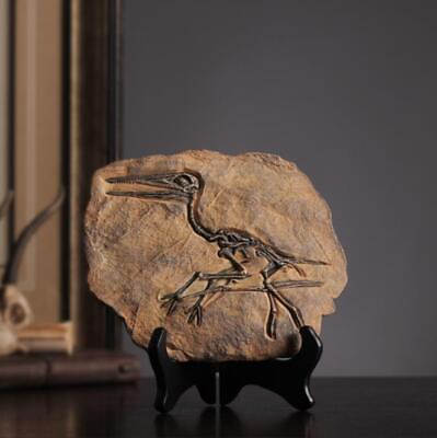 #ad #ad New Rare Carnivorous Dinosaur Sinosauropteryx Fossil Cretaceous 140 Million D