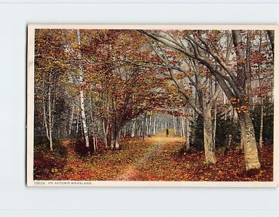 #ad Postcard An Autumn Woodland