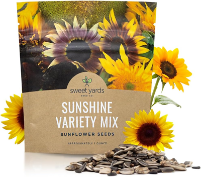 #ad Sunflower Variety Mix 10 Types of Beautiful Sunflowers Bulk 1 Ounce Packet O