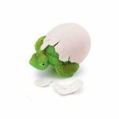 GeoCentral Tortoise Hatch #x27;Ems Egg Toy