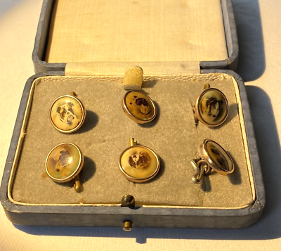#ad 6x antique buttons gilded brass different DOGS BOXED superb