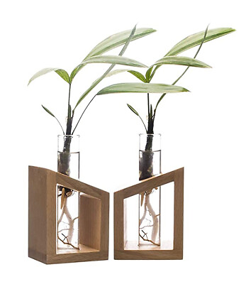 Set of 2 Flower Vases Artistic Wooden Stands Labzio by Eisco Labs