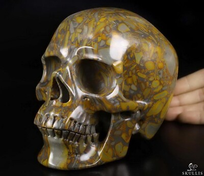 #ad Lifesized 6.8quot; Bamboo Stone Carved Crystal SkullSuper Realistic Healing