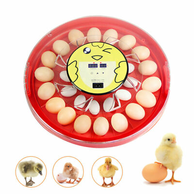 #ad 30 Egg Auto Turning Digital Automatic Incubator Hatch Chicken Duck Egg Hatcher