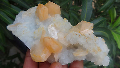 #ad Chalcedony On Stilbite Crystals Mineral Specimen H=5