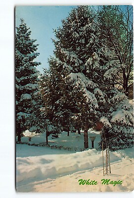 #ad White Magic Maine Vacationland ME Snow Covered Tree Chrome Postcard Vtg Unposted