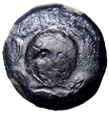 #ad SELEUKID KINGS Elephant Antiochos III ‘the Great’. 222 187 BC. Æ Greek Coin COA