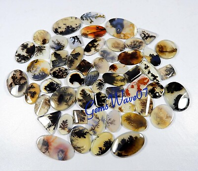 #ad Natural Shazar Scenic Dendritic Agate Cabochon AAA Gemstone Wholesale Lot