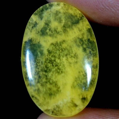 #ad 100% Natural Yellow Lace Agate Oval Cabochon Gemstones 12.80Cts. 14x 22x 03mm