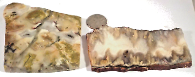 #ad 2 Awesome Agates With Inclusions Total 8.4 Ounces Free Ship 1st Pic Wet #3353