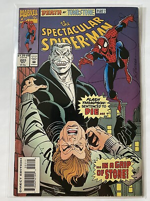Spectacular Spiderman 205 Marvel Comics 1993 FN 6.0 6.5 Tombstone Black Cat