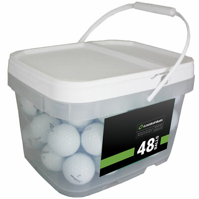 48 Titleist Pro V1 2019 Near Mint Quality Used Golf Balls AAAA In a Free Bucket