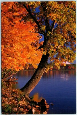#ad Postcard Lovely Autumn Colors