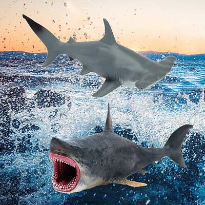 Lifelike Simulation Animal Model Hammerhead Megalodon Shark Shaped Kids Sea Toy