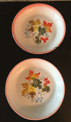 #ad Lot of 2 8 1 2” Vintage Colorful Enamelware Plates W Pink Blue Rim Leaf Motif