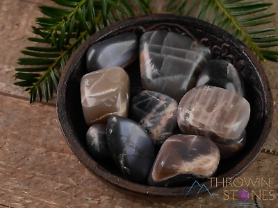 #ad Gray MOONSTONE Tumbled Healing Crystals and Stones Self Care Unique Gift E1153