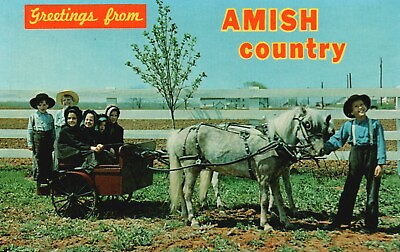 #ad #ad Postcard PA Greetings from Amish Country Kids Ponies amp; Cart Vintage PC e6648