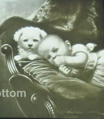 #ad 4quot; by 3 1 4quot; Magic Lantern Slide TH McCallister Baby on Couch with Puppy